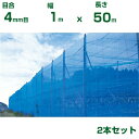【個人宅配送OK】シンセイ 防風ネット 青 目合4mm目 1m×50m 2本セット (防風網 農業用 家庭菜園 畑 ハウス 農業資材 農園 園芸 果樹 野菜 植...