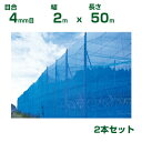 【個人宅配送OK】シンセイ 防風ネット 青 目合4mm目 2m×50m 2本セット(防風網 農業用 家庭菜園 畑 ハウス 農業資材 農園 園芸 果樹 野菜 植木...