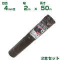 【個人宅配送OK】シンセイ 防風ネット 茶 目合4mm目 2m×50m 2本セット(防風網 農業用 家庭菜園 畑 ハウス 農業資材 農園 園芸 果樹 野菜 植木...