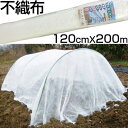 キンボシ 不織布（パオパオ90） 1.5m×10m 品番：7424 JAN：4951167674244 Non woven Paopao