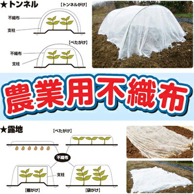 個人宅配送OK シンセイ 農業用 不織布 180cm X 10m ロール 1.8m 防霜 防鳥 防虫 保温 農業資材 園芸 トンネル べたがけ 印字なし 梱包 包装 ラッピング 2