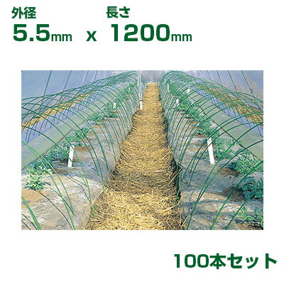 積水 セキスイ 農業用 ニューセキスイポール φ5.5 X 1200mm (FPR) 100本 グリーン