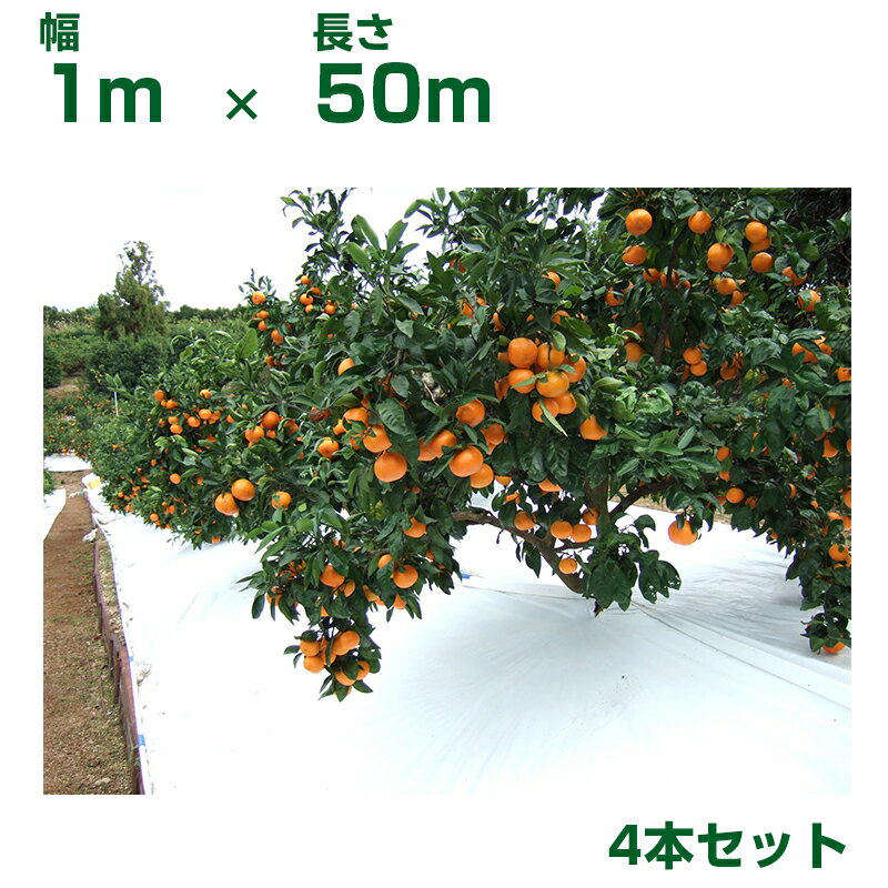 谷口産業 農業用白色反射シート TSアップシート ロール W1.0m X L50m 4本 ホワイト