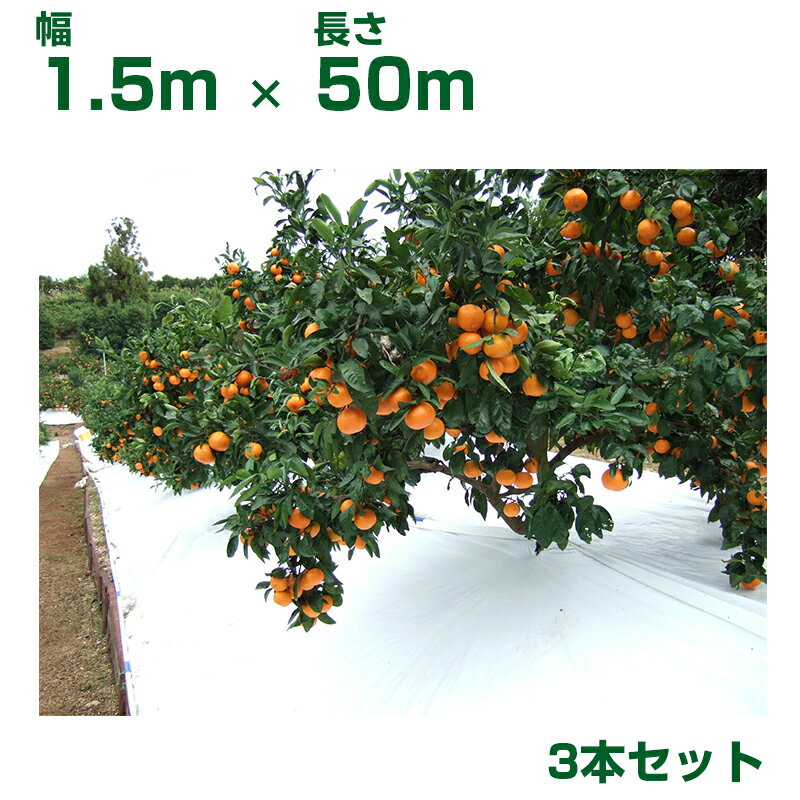 谷口産業 農業用白色反射シート TSアップシート ロール W1.5m X L50m 3本 ホワイト