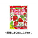 花ごころ 甘いイチゴを作る肥料 2kg 10セット