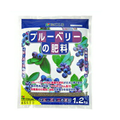 ֤ ֥롼٥꡼ 1.2kg 16å