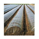 農ポリ 270cm 農ポリ 0.05mm オークラ 大倉 透明 一般 農ポリ 0.05mm X 270cm X 100m 2本入 (ライン有)
