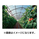 個人宅OK アキレス 外張り用 農ビ 晴天(ノンキリーあすか) 厚さ0.05mm X 巾135cm X 100m巻 農業資材 ビニールハウス 防霧滴 透明 保温