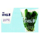 東洋紡 FG ボードン フレッシュタグ 新鮮野菜 #20 280×300×120コーナーカット 8000枚入×3箱【代引不可】