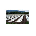 岩谷 イワタニ 三層シルバーポリ 防虫マルチ 0.03mm×150cm×200m 2本入