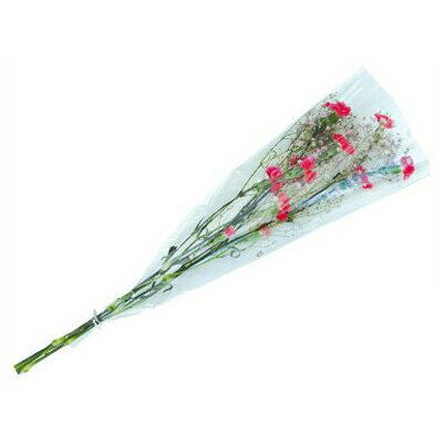 積水樹脂 セキスイ OP部分多孔ホルダー用 花袋 ＃30 220/50×500+50 2500枚入 【代引不可】 花束用フィ..