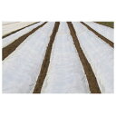 JX日石 不織布 ワリフ (割布) 白 遮光率5% 防虫/保温/通気用 3m X 100m 300cm 【代引不可】