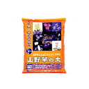 プロトリーフ 山野草の土 2L 20セット