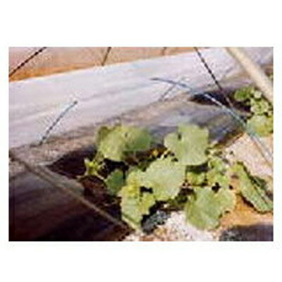 服部猛 （旭化成せんい） トンネル 育苗用 不織布 E01025 マリエース 100cm X 100m 3本入 【代引不可】