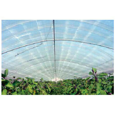 個人宅OK アキレス 内張り カーテン用 農ビ ノンキリースベールH 厚さ0.075mm X 巾230cm X 100m巻 農業..