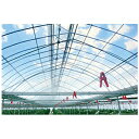 個人宅OK アキレス 内張り用 農ビ やまもも 厚さ0.05mm X 巾200cm X 100m巻 農業資材 保温強化 防霧滴 高透明性 手動巻上げ可 ビニール...