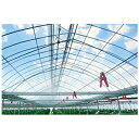 個人宅OK アキレス 内張り用 農ビ やまもも 厚さ0.05mm X 巾270cm X 100m巻 農業資材 保温強化 防霧滴 高透明性 手動巻上げ可 ビニール...