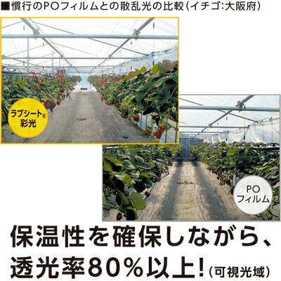 ユニチカ 内張りカーテン用 不織布 60557FHZ ラブシート採光 270cm×100m 2