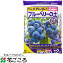 花ごころ ブルーベリーの土 12L 5セット