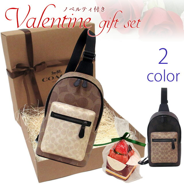 バレンタインギフトセットコーチバッ...