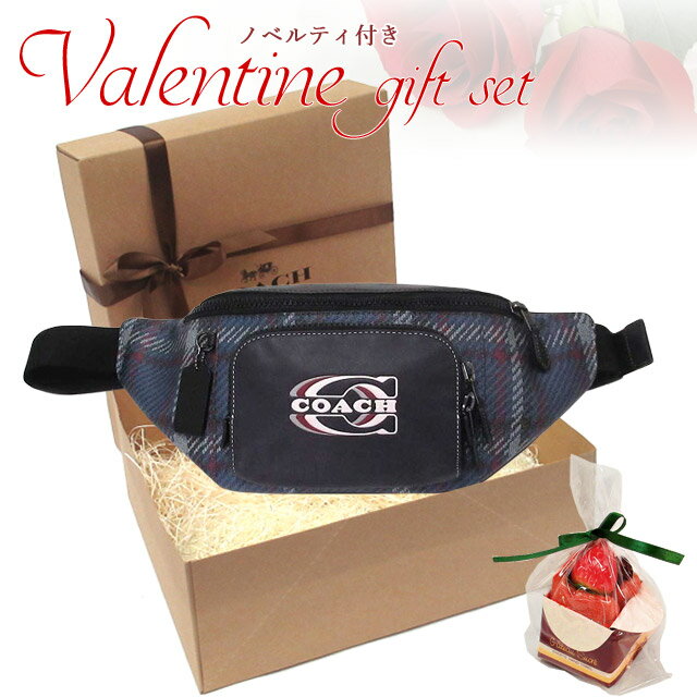 バレンタインギフトセットコーチバッ...