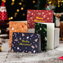 クリスマス ラッピング カード ギフト クリスマスカード メッセージカード グリーティングカード 二つ折り 封筒付き シール付き 6色 SD19367Q
