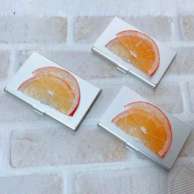アトリエステラ 食品サンプル 名刺入れ スライスオレンジ K67