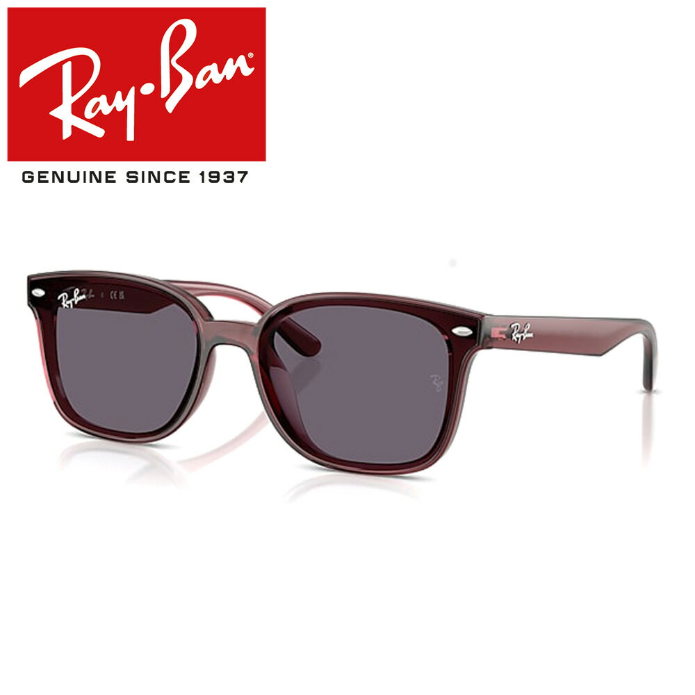 レイバン サングラス RayBan RB4461D 659373 64 フレーム / TRANSPARENT DARK BROWN レンズ / POLYAMIDE STANDARD VIOLET 日本限定モデル