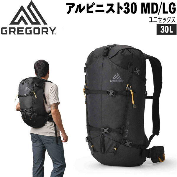 GREGORY - グレゴリー アルピニスト30 MD/LG サミットブラック GREGORY バックパック リュック
