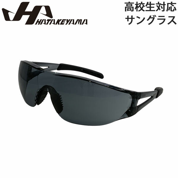 Other - ハタケヤマ HATAKEYAMA サングラス 野球 ブラック ケース付 限定 高校対応 SG-26SB 日本製