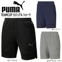 TbJ[ X|[c v[} PUMA TEAMCUP JWA V[c ړ