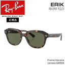 レイバン サングラス RayBan ERIK フレーム/HAVANA レンズ/GREEN アジアンフィット(4)