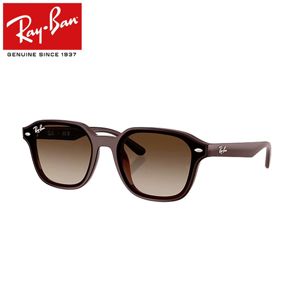レイバン サングラス RayBan RB4458D 714/13 65 フレーム / TRANSPARENT DARK BROWN レンズ / POLICARBONATE STANDARD GRADIENT BROWN 日本限定モデル