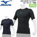 싅 MIZUNO ~Ym A_[Vc [lbN 12JABC31 [