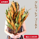 ドライフラワー スワッグ ブーケ リース 花材 枝 インテリア 必須花材グレヴィレアゴールド 5本セットイスラエル産です