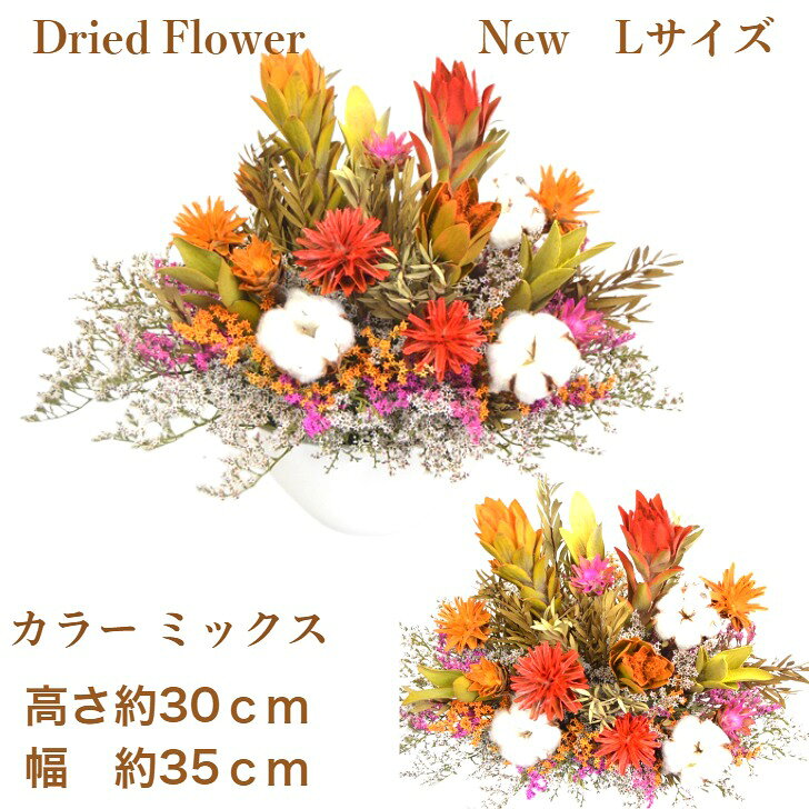 楽天市場】つぼみ 蓋（ドライフラワー｜花・観葉植物）：花・ガーデン