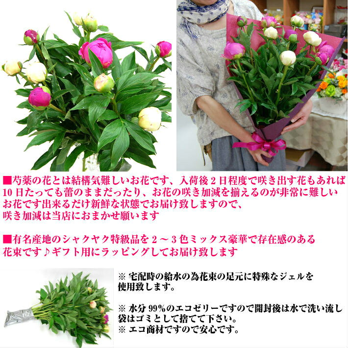 【売れ筋】芍薬 花束 10本束でお届け致します母の日 期間限定商品です5月3日～5月9日がお届け日