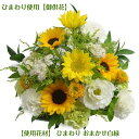【売れ筋】ヒマワリ お供え花 生花 アレンジ お悔やみ フラワーアレンジ 贈り物 法事 お供え物 仏花 供花 弔花 お供え花 枕花 命日 初七日 四十九日 法要 仏事 三回忌 七回忌
