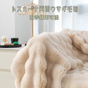 全7サイズ/全10色 毛布 ふわとろ もこもこ毛布 軽量 洗える 洗濯可 秋冬 冷房対策 旅行 厚手 暖かい 冬用掛け布団 かけ布団 ブランケット モコモコ とろとろ シングル ダブル ハーフ ふわもこ ひざ掛け クィーン キング