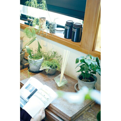 【送料無料】 ガラスキューブリードディフューザー (シトラス)株式会社キシマ