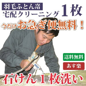 羽毛布団クリーニング 布団丸洗い 羽毛掛け布団専用クリーニング 1枚セット【送料無料※一部地域除く】 羽毛掛け布団 シングル・ダブル まさつレスクリーニング トコジラミ対策