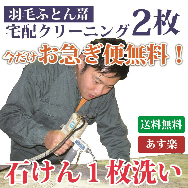 羽毛布団 クリーニング 2枚セット 布団丸洗い シングル ダブル 収納袋に入れてお届け 【送料無料※一部地域除く】 羽根布団 布団丸洗い 宅配クリーニング　まさつレスクリーニング トコジラミ対策