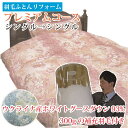 羽毛布団リフォーム 打ち直し 【差額返金】 打ち直し 【送料無料】 足し羽毛300gプレゼント プレミアム S→S