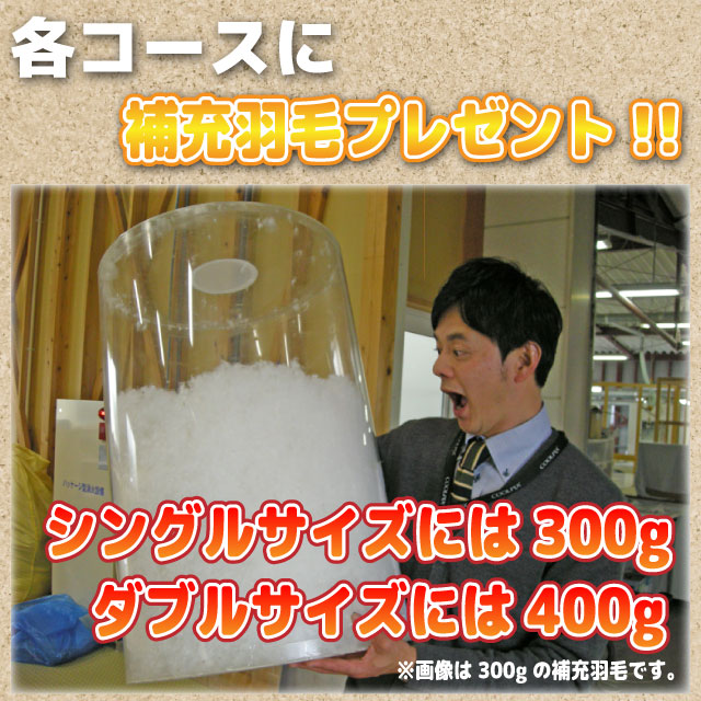 ＼お買い物マラソンP20倍!/ 羽毛布団 打ち...の紹介画像2