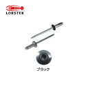 エビ/ロブテックス CNSA42BEB カラーブラインドリベット(丸頭) ブラック エコBOX(300本入)(4)