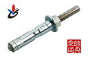 【ポイント10倍!6/20の0時〜23時59分まで】サンコーテクノ NSL-1225 サンビックアンカー NSLタイプスチール製 三価クロメート処理 雄ネジタイプ♂M12×最大取付物厚25mm (20本入)(4)