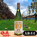 【送料込】【同梱不可】兎ッ兎 宇倍野2024 750ml 宇倍野2024 辛口白ワイン 南国果実 鳥取県 兎ッ兎ワイナリー 持続可能 梅垣ぶどう園 地球環境 オンラインショップ 直売店 寺谷英樹 国府町 麻生村 オリジナル品種 甘味 酸味 旨味 バランス 調和 12%