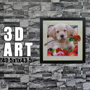 【4日間限定5%off】 3D絵 立体画 立体変化ポスター 立体 ホログラム ポスター アート 絵 立体的 3枚 立体写真 不思議 インテリアアート 飛び出す絵 雑貨 飾り ウォールアート