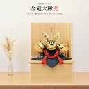 五月人形 お祝い 初節句 コンパクト 兜飾り 収納飾り 5号 金竜 大鍬兜 おしゃれ かっこいい モダン かわいい 2025 sn2543-5