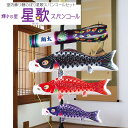 鯉のぼり こいのぼり コンパクト 室内飾り 星歌セット 室内用 おしゃれ モダン かわいい インテリア
